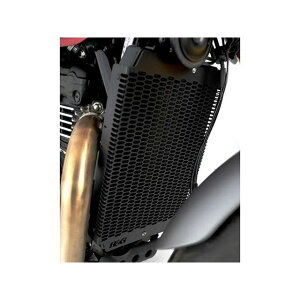 A[AhW[ PROWG^[K[hiubNj Scrambler400X Speed400 RG-RAD0346PROBK