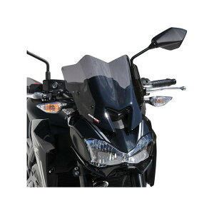 �A���}�b�N�X Z900 2017-2019 �X�|�[�c �X�N���[�� 30cm Z900 �J���[ �l�I���O���[��2 �E0303096-08