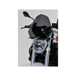 �A���}�b�N�X R1200R 2015-2018 �X�|�[�c�X�N���[�� 40cm R1200R �J���[ �N���A �E061001036