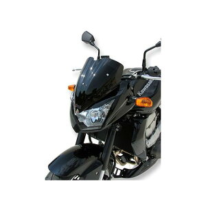 �A���}�b�N�X Z750 2007-2012 �X�|�[�c�X�N���[�� 33cm Z750 �J���[ ���C�g�u���E�� �E060302060