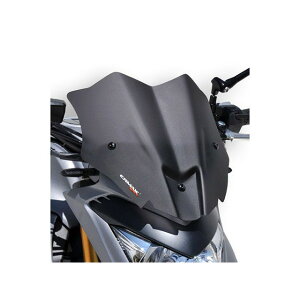�A���}�b�N�X GSX-S1000 2015-2020 �X�|�[�c�X�N���[�� 30cm GSX-S1000 �J���[ �u���[ �E030404108
