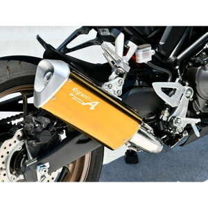 }g[VO 22`CB250R SUS TYPE-SA S[h CB250R 10271-71SAG