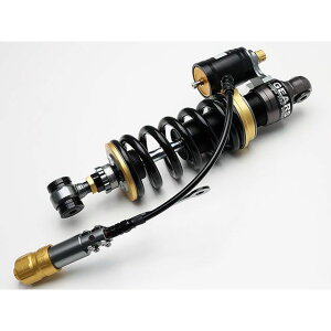 AG GEARS×AELLA TXyViKawasaki Z900RSj Z900RS GA-H2-KS109R OT