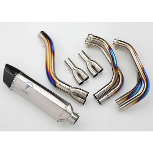 AG AXybN}t[ _E^CviKawasaki ninja1000SX 23`j/i|bVj Ninja1000SX AE-42031 PO