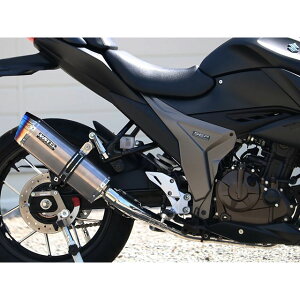 ダブルアールズ JMCA フルエキゾースト SS-OVAL ソリッドチタンタイプ ジクサーSF250 LK3255JM