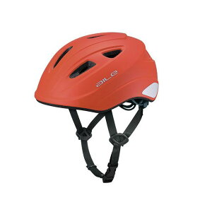 I[W[P[Jugi]ԁj pwbg aileiG[ji}bgtAIWj