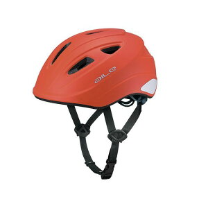 I[W[P[Jugi]ԁj pwbg aileiG[ji}bgtAIWj