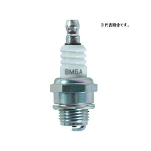 BIGMAN `F[\[pփvO BM-6A CP-1 CP-1