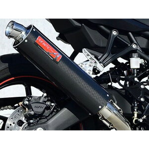 }g[VO ZX-4R SPEC-A TI 4-2-1 DOWN J[{ ZX-4R 40409-21NCN