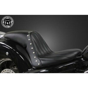 K[WT&F XeB[h400 X^bhtKt@C^[V[gio[`Jj XeB[h400/VLX/VCL E701133