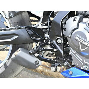 XgCJ[ FORTIXebvLbg 4|WViubNj GSX-8R/8S SS-FT2169B