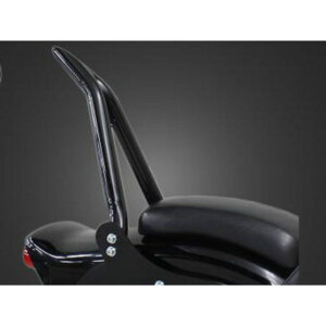 �K���[�WT&F �h���b�O�X�^�[400 �ɑ���38�V�[�V�[�o�[�V���[�g �����t�F���_�[��p�i�u���b�N�j �h���b�O�X�^�[400 �^�C�v �����E�B���J�[��Ή� �v���[�g �E7021862