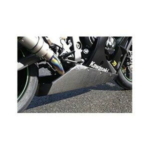 }WJ[VO A_[JEgC ZX-10R ގ FRPE 001-ZX1012-1901