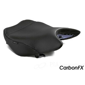 T[WFg V[g CarbonFX tg GSX-S1000GT GSX-S1000GX WS-693F-19