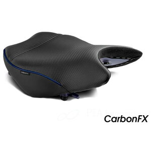 T[WFg V[g CarbonFX tgiJ[{j GSX-S1000GT GSX-S1000GX J[ pCsOFG050u[ WS-693F-NS