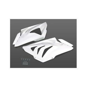 }WJ[VO TChJE EZbgiJEt@Xi[tj S1000RR ގ FRPE D01-S10012-1400