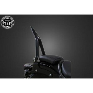 �K���[�WT&F ���u��250 �ɑ���38�V�[�V�[�o�[�~�f�B�A�� �����t�F���_�[��p�i�u���b�N�j ���u��250/���u��250S ���u��500 �E7031610