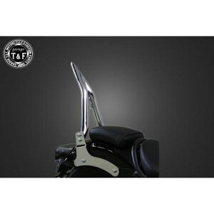 K[WT&F u250 ɑ38V[V[o[~fBA tF_[pibLj u250/u250S u500 E703167