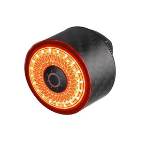 GACIRONi]ԁj ACgiJ[{t@Co[j LOOP-100