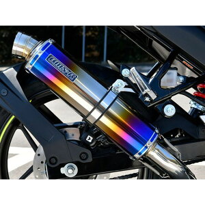 BMS R-EVO ヒートチタンサイレンサー 政府認証 ジクサー150 G351-53-SF1