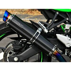 BMS `^tGL R-EVO2 J[{TCT[ {F ZX-4RR/ZX-4R SE G435-54-TF2