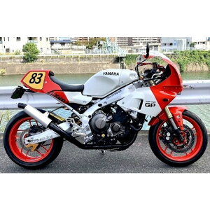 y[J[zX[p[oCN XSR900GP Type-200h/YiTCT[^CvYj XSR900GP