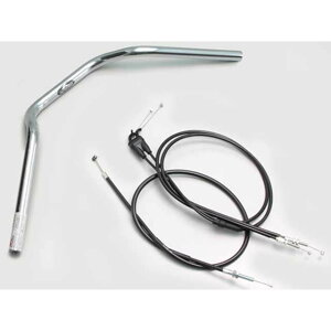 nP[ POLICE 2^ nhSETiN[bLj XSR125 ABS H309-070C