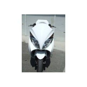 才谷屋ファクトリー フェイスマスク TYPE-B スカイウェイブ250 カラー 未塗装 3SSWFM03-B