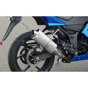 y[J[zX[p[oCN Ninja250 S.P.L Type-Ov Ninja250 68216-288844