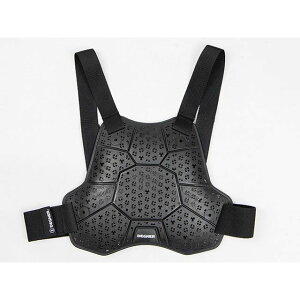 fOi[ PS-25 CEx2 ou[GAX[`FXgveN^[iubNj PS-25