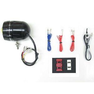 vebN 66012 FLT-Y06 LEDtHOCg 12V 28W 6000K NMAX155 NMAX125 66012