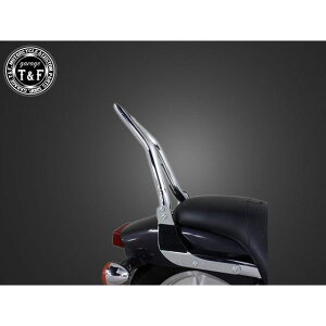 K[WT&F }Oi250 ɑ38V[V[o[~fBA tF_[pibLj }Oi250S }Oi250 E707032