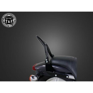 K[WT&F }Oi250 ɑ38V[V[o[V[g tF_[piubNj }Oi250S }Oi250 E707031