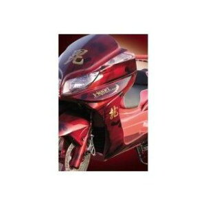 ˒Jt@Ng[ TChA[}[ Oh}WFXeB250 J[ h 3YMASS03-A