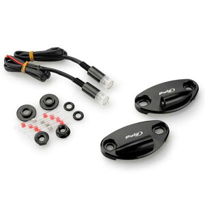 v[` ECJ[}Egt~[LbviubNj ZX-10R ZX-10RR 22041N