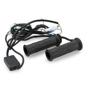 v[` Obvq[^[iubNj ėp 21729N