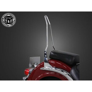 K[WT&F Cg[_[400NVbN tF_[pV[V[o[V[gibLj Cg[_[400NVbN E4024641