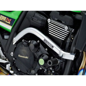 オーバーレーシング サブフレームキット ZRX1200DAEG/ZRX1200 カラー ポリッシュ ・56-811-01