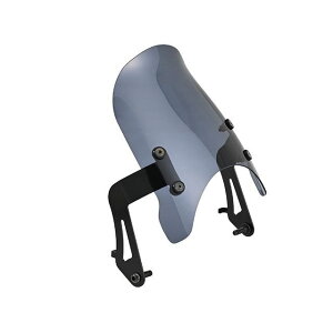 �f�C�g�i Aerovisor�i�G�A���o�C�U�[�j�Ԏ�ʃL�b�g CB1000F�i�X���[�N/�u���b�N�j CB1000F 62724