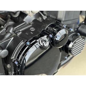 �X�g���C�J�[ �A���~�r���b�g�I�C���t�B���[�L���b�v M30×P1.5�i�u���b�N�j SS-FC3015-BK