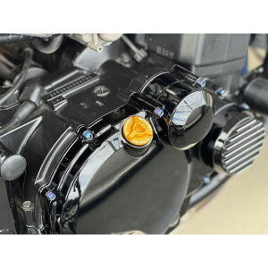 �X�g���C�J�[ �A���~�r���b�g�I�C���t�B���[�L���b�v M30×P1.5�i�S�[���h�j SS-FC3015-GD