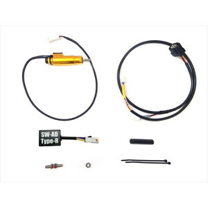 �e�����g �V�t�^�[�X�C�b�`Type-R GSX-8R GSX-8S 8805-SW-TR