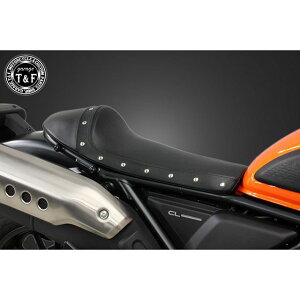 �K���[�WT&F CL250 �X�^�b�h�t���J�t�F�V�[�g/�X���[�X�i�u���b�N�j CL250 �E7103125