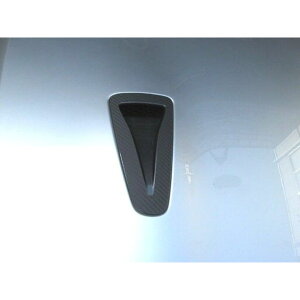 �n�Z�v�� �j�b�T�� GT-R R35�i2007.12�`�j �{���l�b�g�o���W ���b�h CBNBN-1R