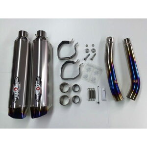 r[gWp NASSERT Evolution Type II T2 XbvI}t[ GSX1300R  TCT[ NA`^ 0222-S38-50