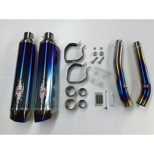r[gWp NASSERT Evolution Type II T2 XbvI}t[ GSX1300R  TCT[ u[`^ 0222-S38-BL