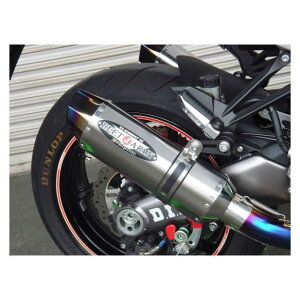 r[gWp NASSERT Evolution TypeII T-2 Abvdl Ninja1000/ABS TCT[ u[`^ 0223-KC4-BL