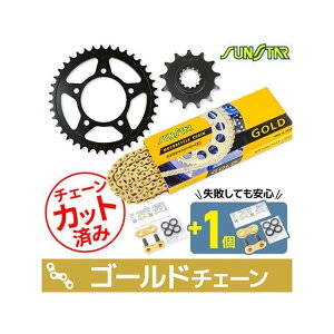 �Z�b�g���i KS3G207 �`�F�[��&�T���X�^�[ �X�v���P 3�_�Z�b�g�i�S�[���h�j GIXER250 GIXER SF250 KS3G207