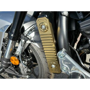 �A�O���X ���W�G�^�[�T�C�h�J�o�[ CB1000F CB1000F/SE �J���[ �V���o�[ 309-188-000S