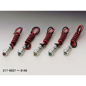 LW} CWP[^[v LED ėp J[ IW 217-6039